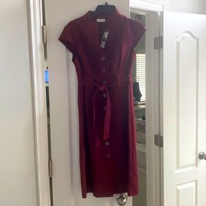 Sophisticated work dress. New.